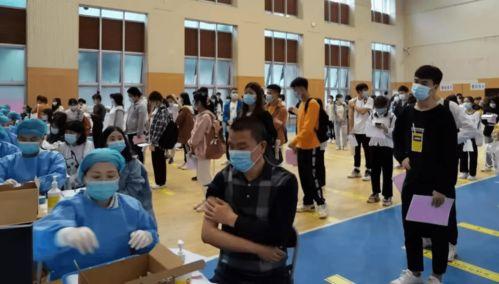 极光新闻小鱼爆料最新消息,小鱼爆料最新动态，揭秘神秘事件真相  第2张